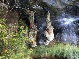 2021-06-05 e 6 FORMEX 1